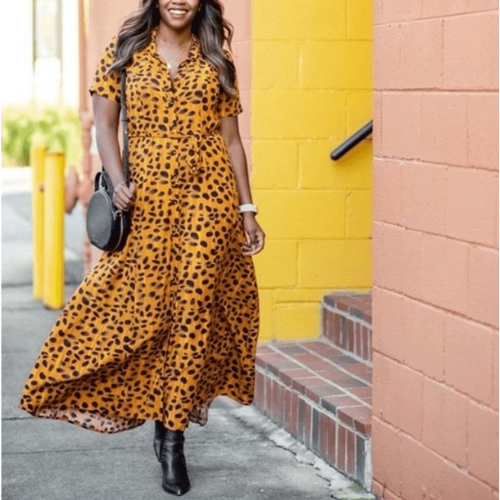Anthropologie Maxi Dress Porridge Vianne - Picture 8 of 8